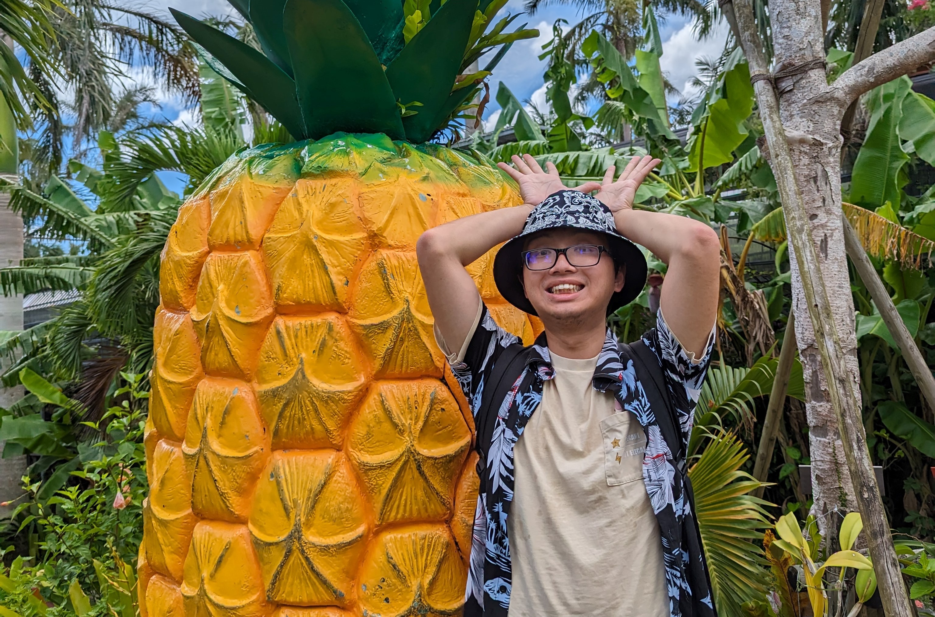 PineapplePark