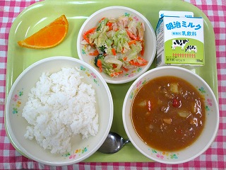 0302　チキンカレー