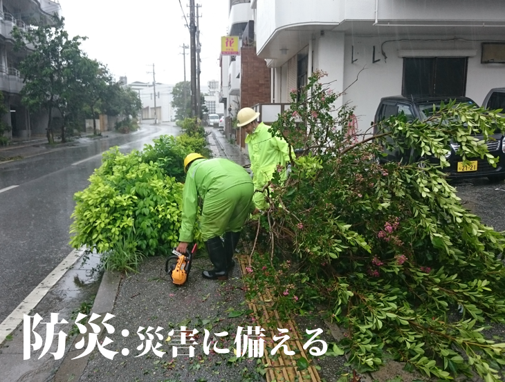 倒木の様子