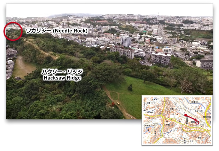 ワカリジーのドローン空撮
