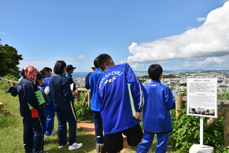 前田高地