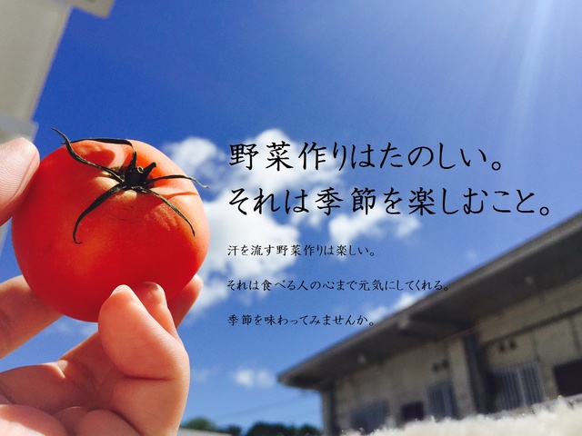 ご案内