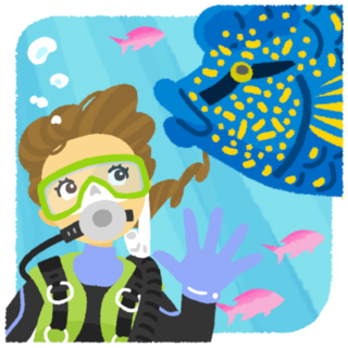 seasea