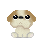 image1428