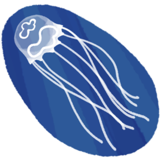 sea