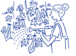 緑のカーテン