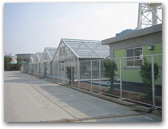 浦添宜野湾漁業協同組合