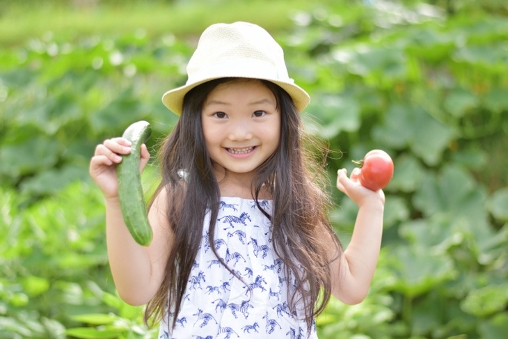 野菜とこども 野菜とこども