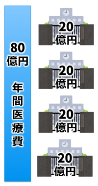 医療費80億円