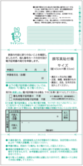 Application-back