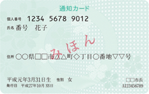 Individual Number Card-front
