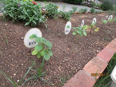 IMG_2081