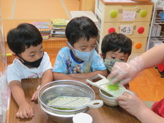 11IMG_6668
