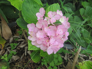 3IMG_6672