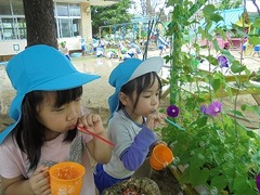 DSC02418