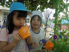 DSC02419
