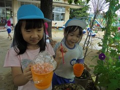 DSC02420