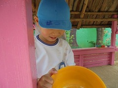 DSC02424