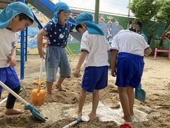 IMG_5633