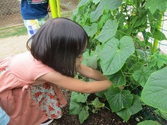 IMG_2754