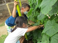 IMG_2757