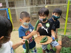 IMG_2759