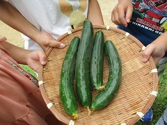 IMG_2762