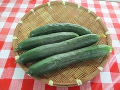 IMG_2770