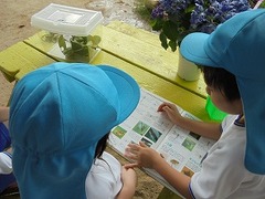 DSC02286