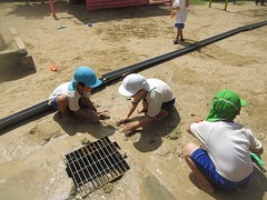 IMG_2006