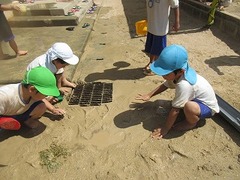 IMG_2010