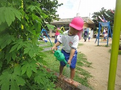 IMG_1841