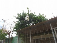IMG_1866