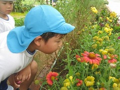 IMG_1908