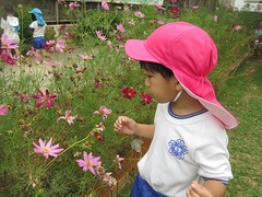 IMG_1911