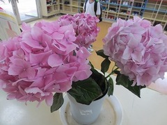 IMG_1698