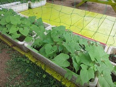 IMG_1715