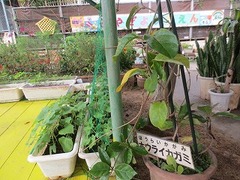 IMG_1719