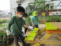IMG_2580