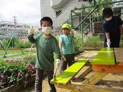 IMG_2582