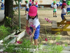 IMG_7735