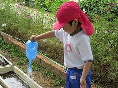 IMG_7737