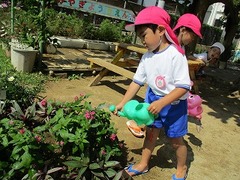 IMG_7741