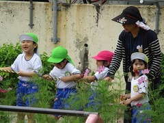 IMG_7673