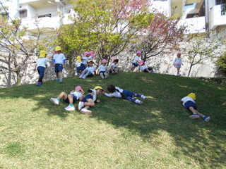 DSCN2445