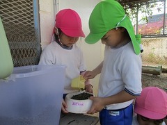 IMG_3193