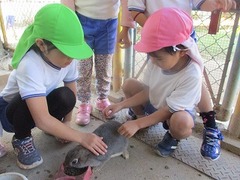 IMG_3195