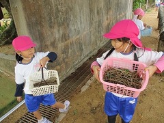 IMG_4789