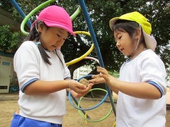 IMG_3639