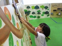 IMG_2775